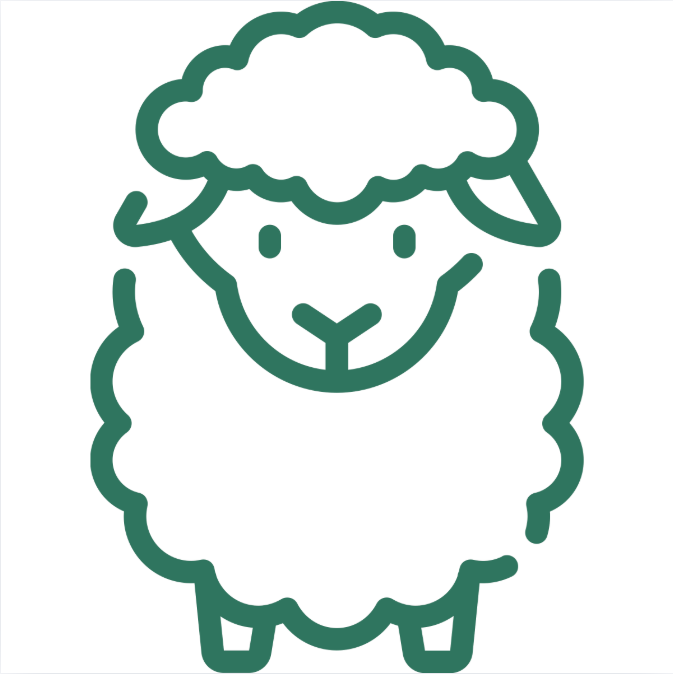 TANZANYA KÜÇÜKBAŞ KURBAN ORGANİZASYONU